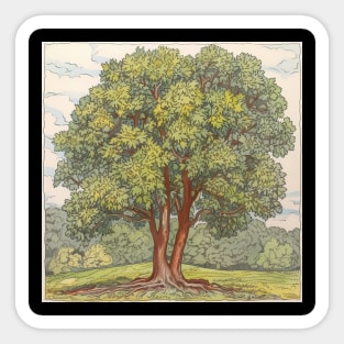 Ash tree drawing Sticker